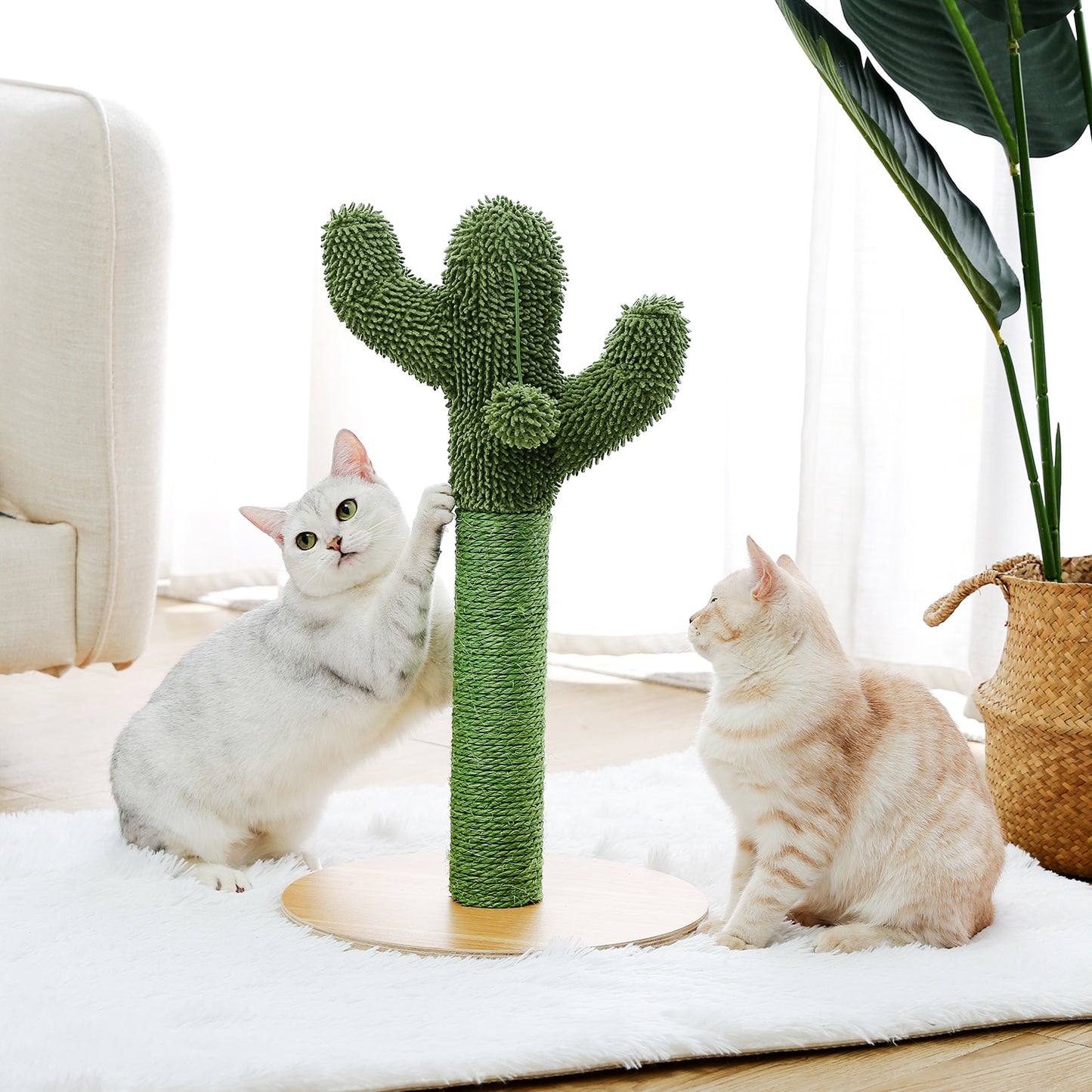 Cat Cactus: Scratching Tree & Home