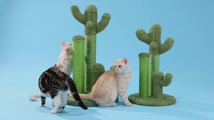 Cat Cactus: Scratching Tree & Home